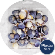 8795-P8 - Craft Pack - Violet Clam (Cay Cay)